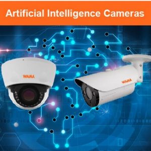 PTZ and AI Cameras