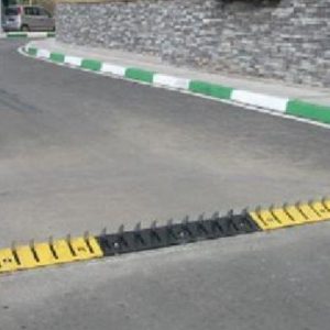 Road Trap